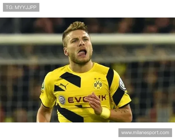 米兰体育下载app官网官方入口确保安全稳定的软件下载体验