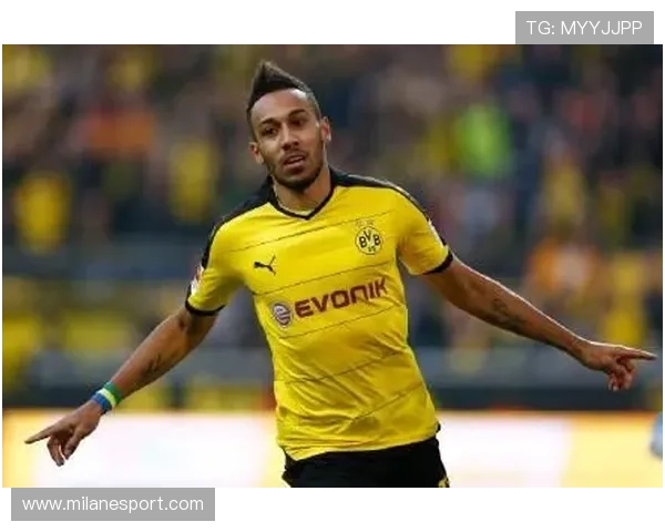 米兰体育登录官网用户评价与使用体验分享