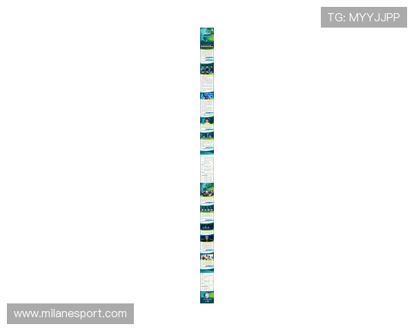 半岛体育：体育迷必看2024年最新体育赛事安排与观赛指南